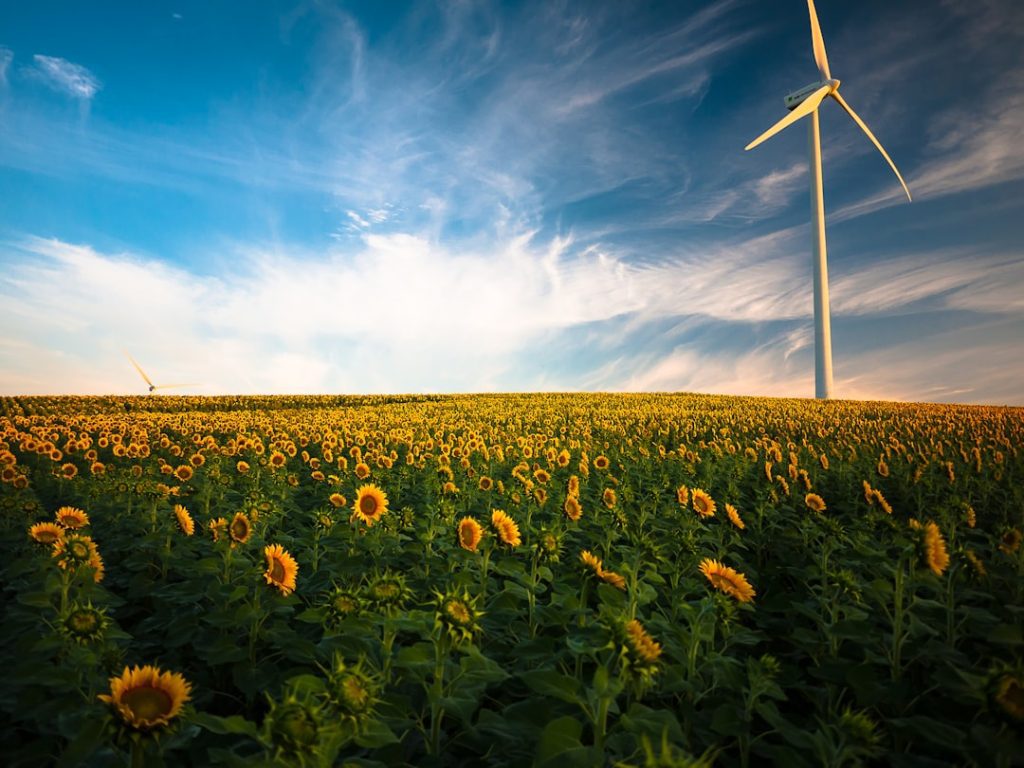 Photo Wind turbines