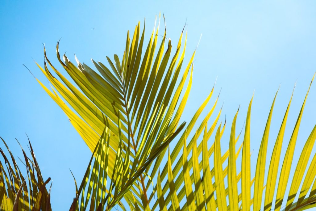 Photo Biofuel plant