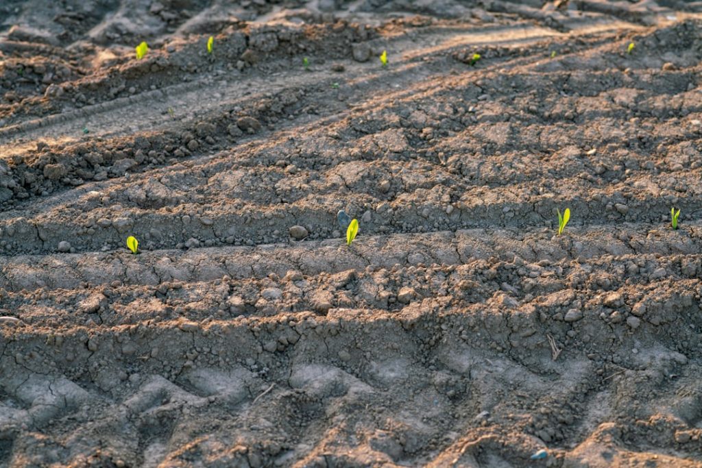 Photo Biofuel plant