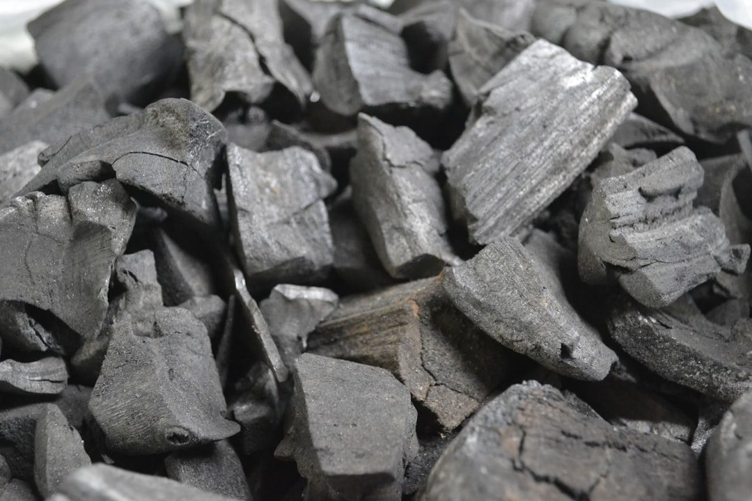 Photo Charcoal briquettes